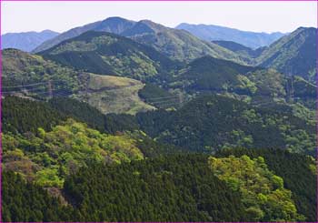 秦野峠方面