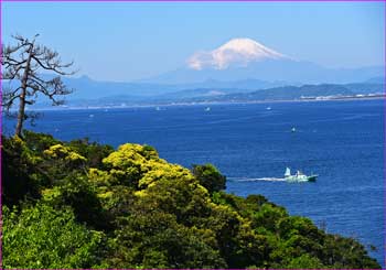 富士山遠望