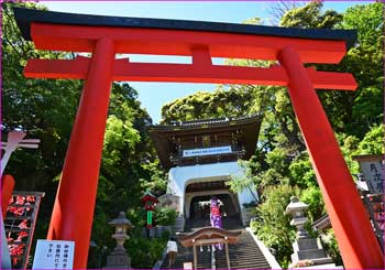 江島神社鳥居