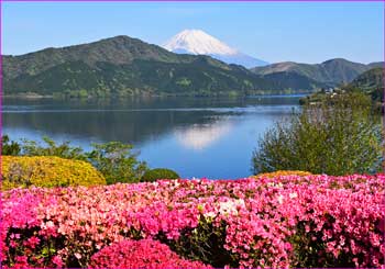 富士山