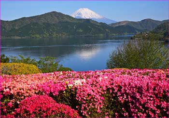 恩賜箱根公園富士