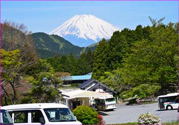 箱根園の富士