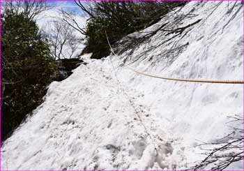 雪道