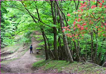 山道