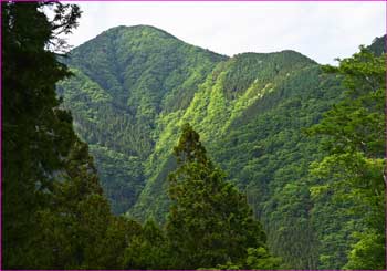 本に田山