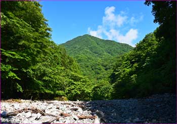 権現山