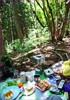 山中昼餉