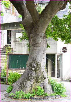 タブノキ地蔵