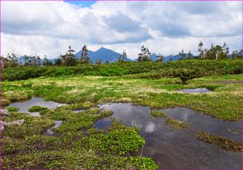 五色ヶ原