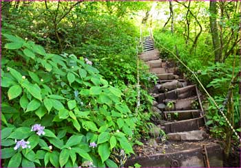 下山道