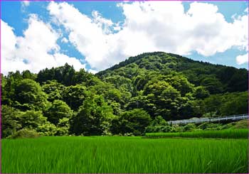 振り返り見る山に夏雲が