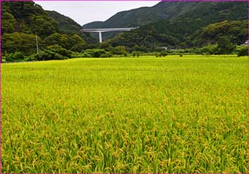 谷峨の田園