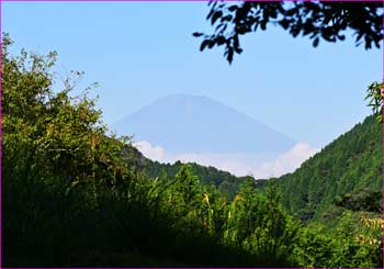 富士山