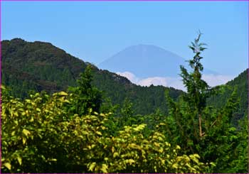 富士山