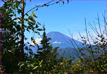 不老山から富士山