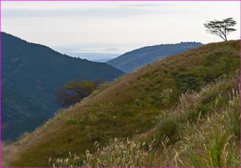 江ノ島