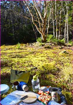 森の中で昼餉