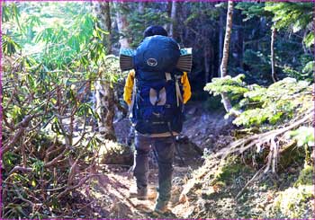 登山者が