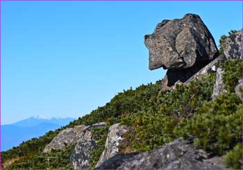 カバ岩が