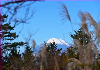 富士山