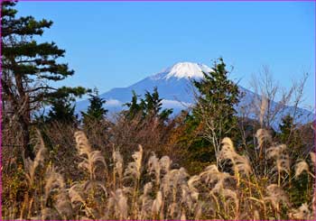 富士山