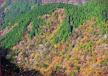 尾根の晩秋