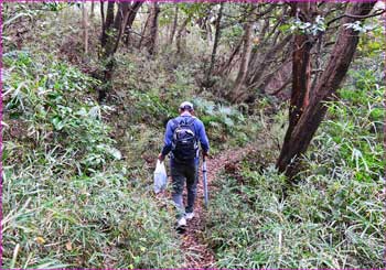 山道ゆく