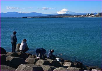 富士山