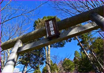 護国神社