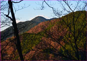 富士山