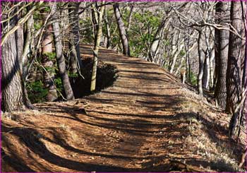 登山道