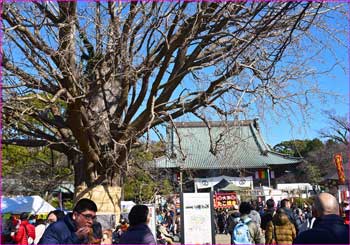 遊行寺