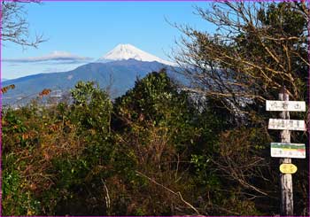 富士山