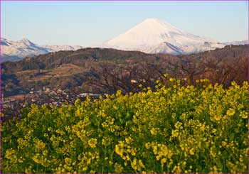 富士山