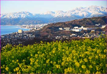 吾妻山の早春