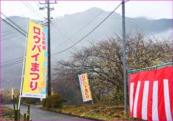 寄ロウバイ園