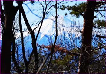 富士山