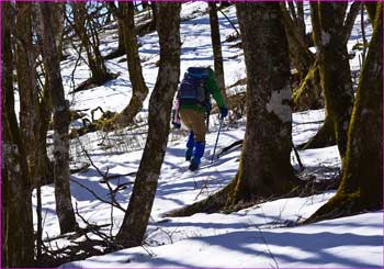 登山者