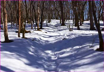 雪山