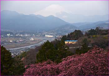 富士山