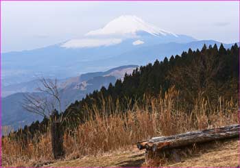 高松山から富士山