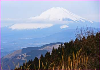 富士山