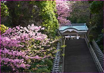 春の貴船神社