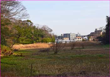 川名の里山