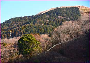 大野山