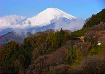 野背開戸富士