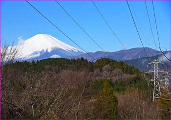 富士山