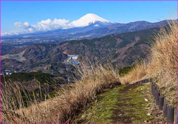 富士山