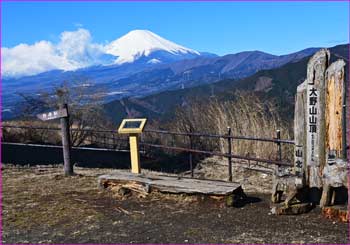 大野山山頂