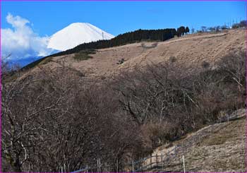 富士山